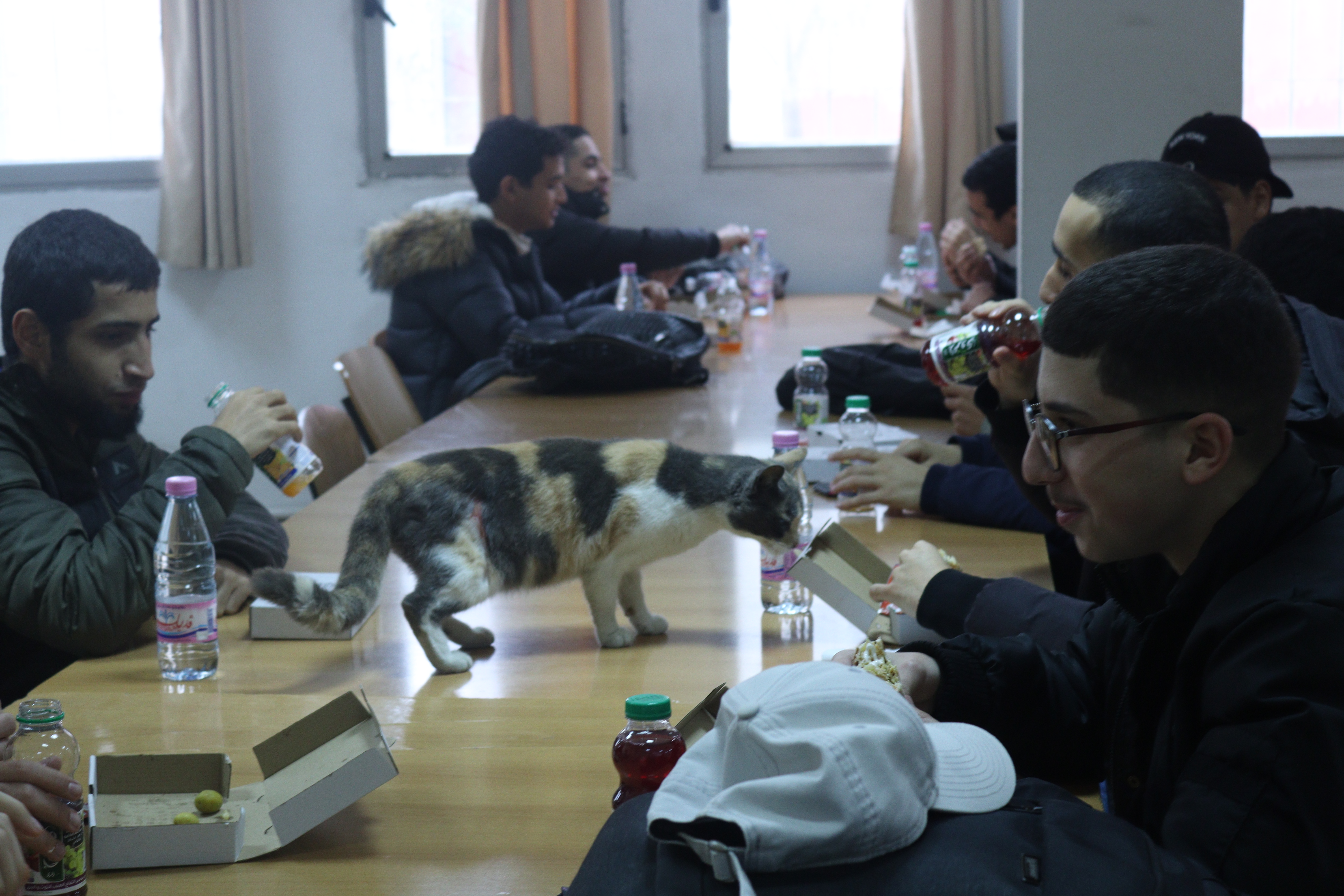 Open Source Day-gallery-8