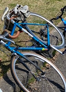愛知県豊田市 RALEIGH (ラレー) カールトンF の盗難自転車
