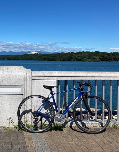 東京都府中市 GIANT (ジャイアント) escape の盗難自転車