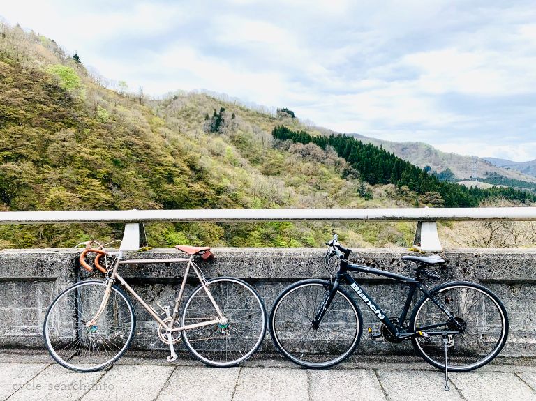 新潟県新潟市 BIANCHI (ビアンキ) カメレオンテⅠ の盗難自転車