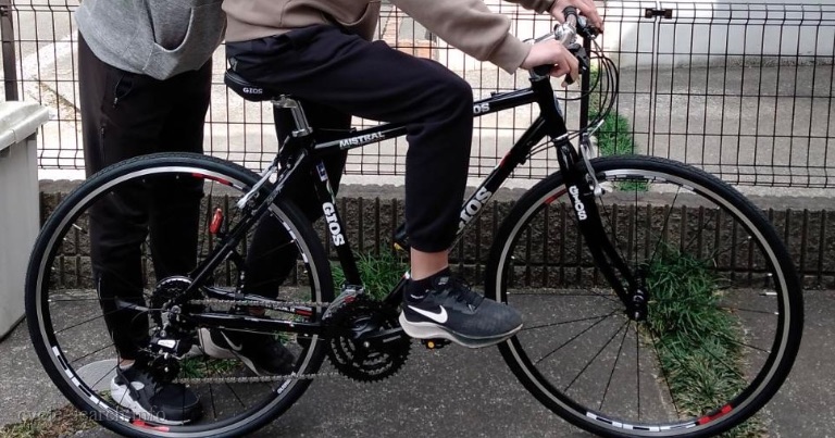 東京都国分寺市 GIOS (ジオス) MISTRAL の盗難自転車
