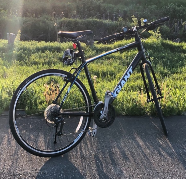 北海道江別市 GIANT ESCAPE RX3 の盗難自転車