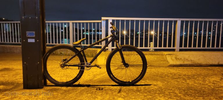 千葉県船橋市 Others (その他) OctaneOne Void 2020 の盗難自転車