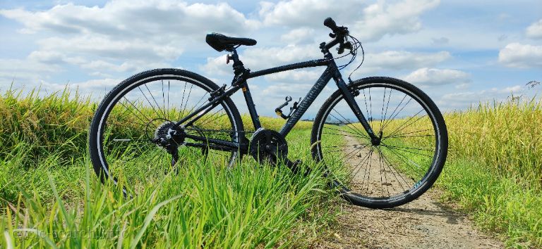 埼玉県上尾市 Bianchi C sport1 の盗難自転車