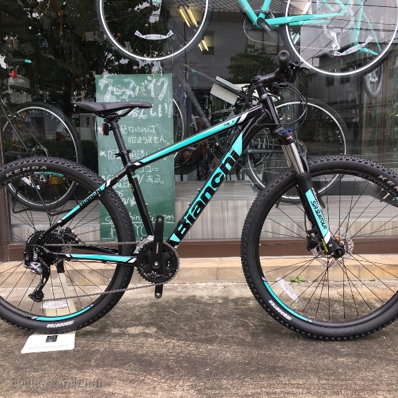 愛知県刈谷市 BIANCHI (ビアンキ) DUEL の盗難自転車