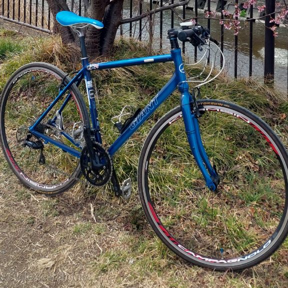 神奈川県小田原市 GIANT Escape R3 の盗難自転車