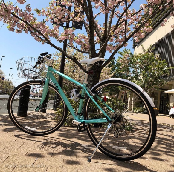 千葉県流山市 GIANT Liv ESCAPE R3 W の盗難自転車