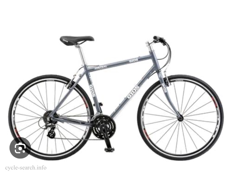 岡山県岡山市 GIOS (ジオス) MISTRAL の盗難自転車