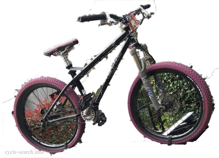 東京都世田谷区 EVIL D.O.C. の盗難自転車