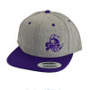 Discraft Buzzz Logo Snapback Adjustable Baseball Cap- Flatbill Snapback Adjustable Baseball Cap - 1