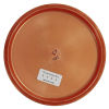 Roc3- Luster Champion (CFR) - 1