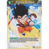 Flying Nimbus