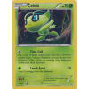 Celebi - XY187 Celebi - XY187