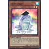 Dupe Frog