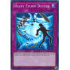 Heavy Storm Duster