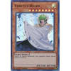 Vanity's Ruler Vanity's Ruler