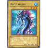 Root Water Root Water