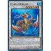 Coral Dragon Coral Dragon