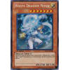 White Dragon Ninja White Dragon Ninja