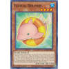Fluffal Dolphin Fluffal Dolphin