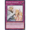 Solemn Warning Solemn Warning