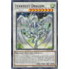 Stardust Dragon Stardust Dragon