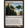 Contested Cliffs