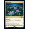 Lotus Field Lotus Field