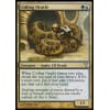Coiling Oracle Coiling Oracle