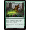 Skyshroud Claim