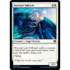 Stalwart Valkyrie
