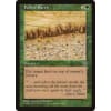 Fallow Earth