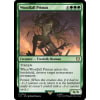 Woodfall Primus