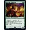 Setessan Champion Setessan Champion