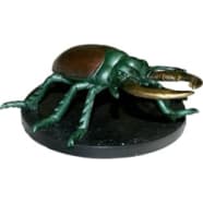 Celestial Giant Stag Beetle (GMR9) Thumb Nail