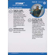 Storm - 039.04 Thumb Nail