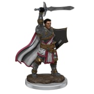 Icons of the Realms Premium Figures Set 7: Male Human Paladin Thumb Nail