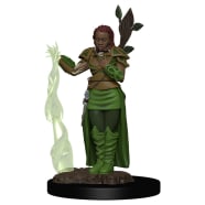 D&D Fantasy Miniatures: Icons of the Realms: Premium Figure - Human Female Druid Thumb Nail