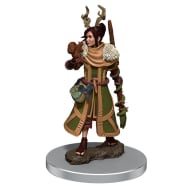 Icons of the Realms Premium Figures Set 7: Female Human Druid Thumb Nail