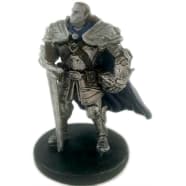 Half-Orc Paladin - 15/55 Thumb Nail