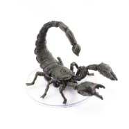 Giant Scorpion - 05 Thumb Nail