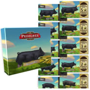 Pedigree Deck - Berkshire Pigs Thumb Nail