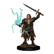 Pathfinder Battles: Premium Painted Figure - Human Cleric Male Thumb Nail