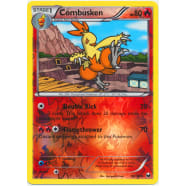 Combusken - 16/108 (Reverse Foil) Thumb Nail