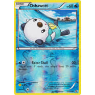 Oshawott - 37/113 (Reverse Foil) Thumb Nail