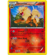 Arcanine - 13/99 (Reverse Foil) Thumb Nail