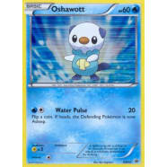 Oshawott - BW03 Thumb Nail