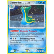 Gastrodon East Sea - 8/132 Thumb Nail