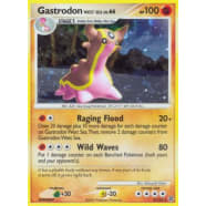 Gastrodon West Sea - 9/132 Thumb Nail