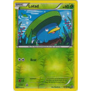 Lotad - 10/160 (Reverse Foil) Thumb Nail